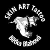 Tatérské studio Skin art